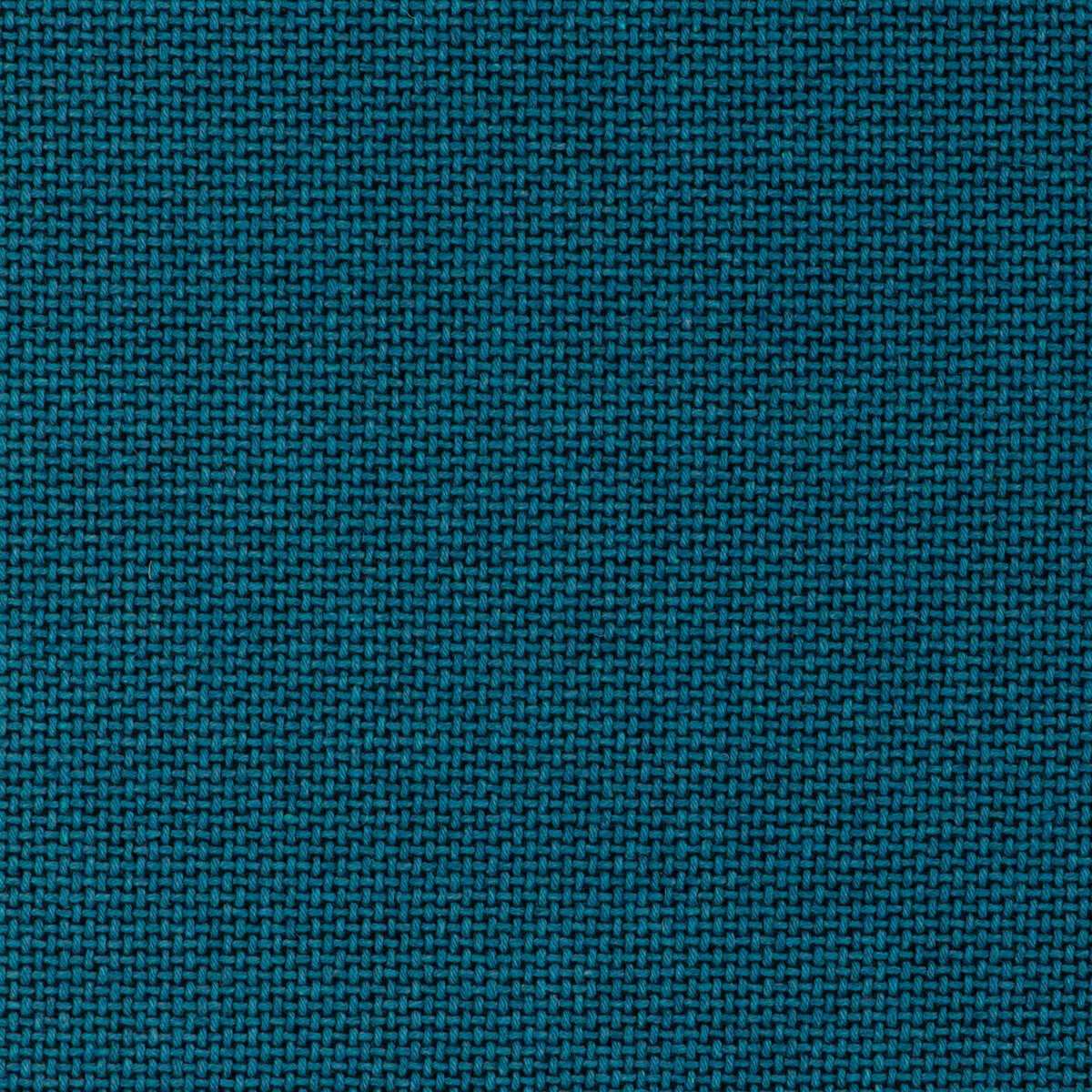 Easton Wool - Cove