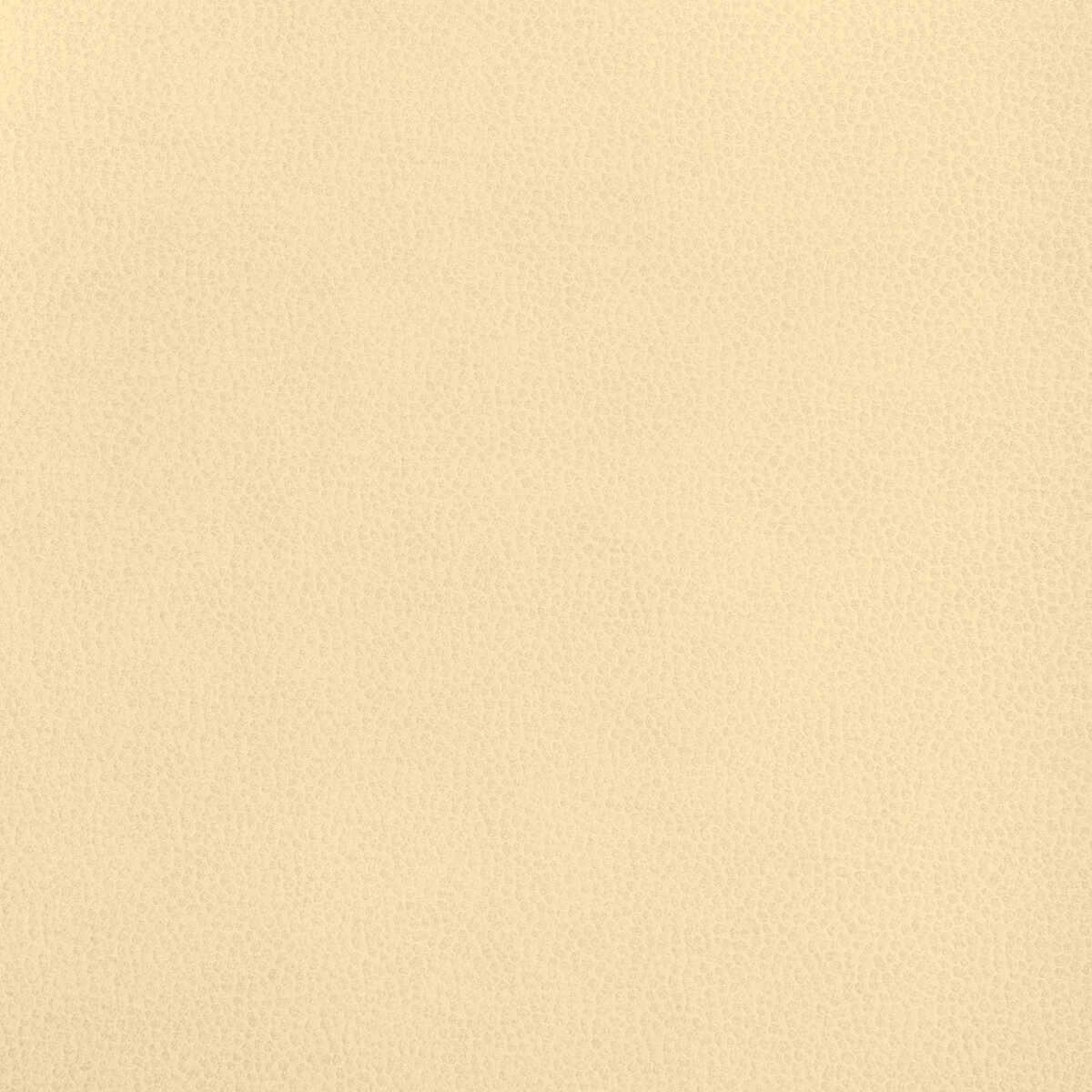 Kravet Design - 36812-1 - KRAVET DESIGN Tela
