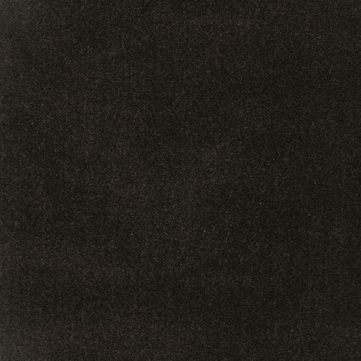 Kravet Design - 37306-66