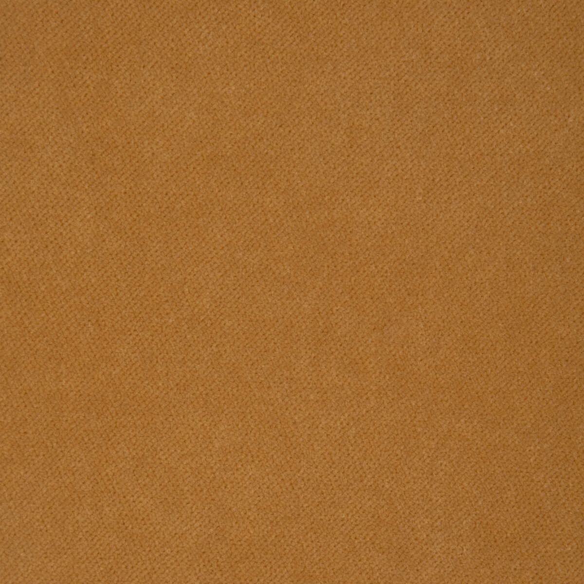 Solo - Butterscotch