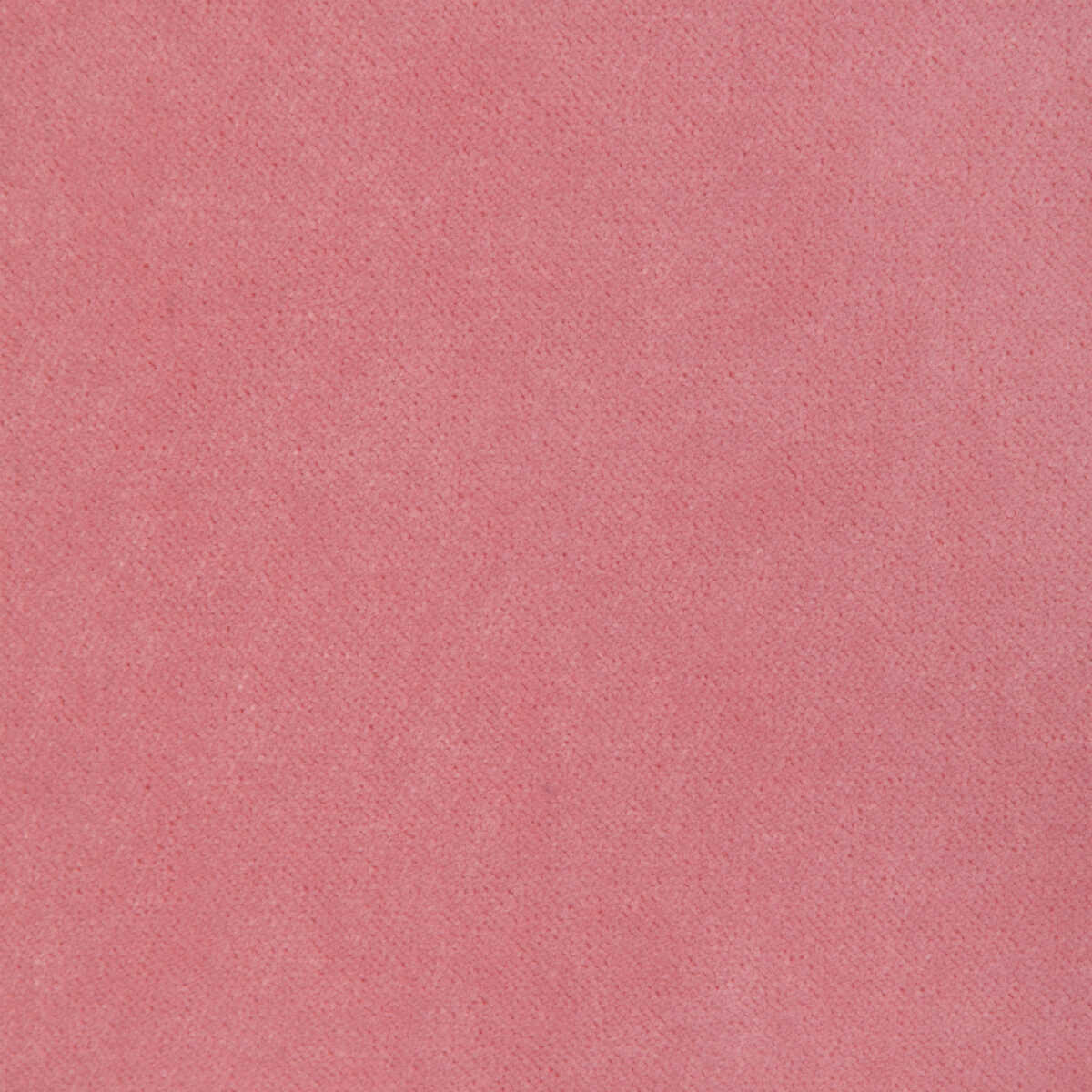 Kravet Contract - 37309-707