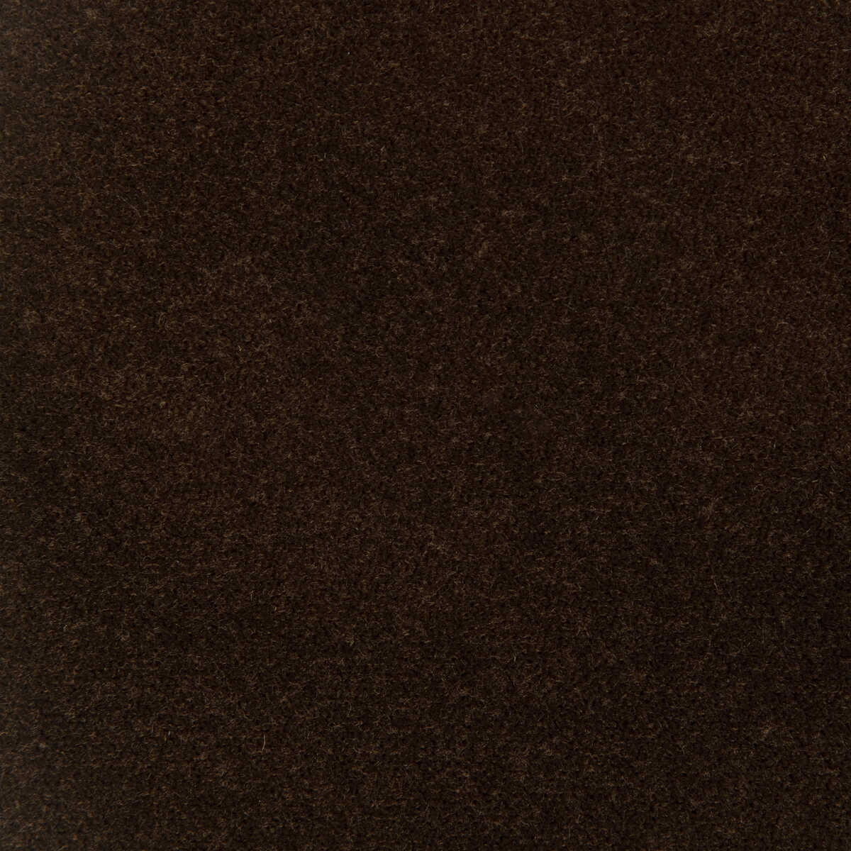 Kravet Design - 37312-6