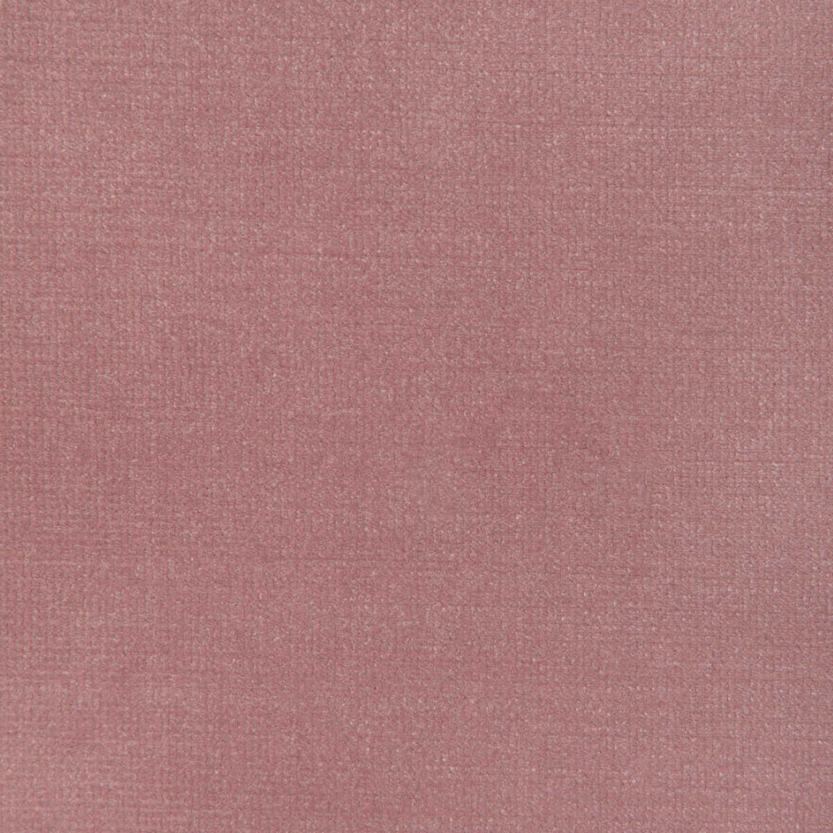 Kravet Design - 37314-7