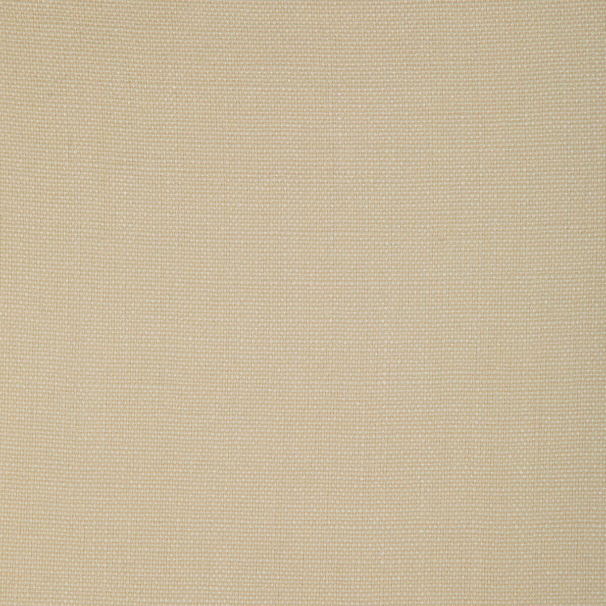 Kravet Basics - 37322-1111 - KRAVET BASICS Fabric