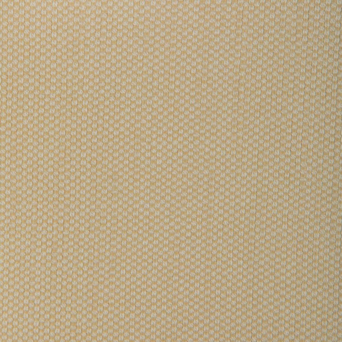 Kravet Smart - 37337-116 - KRAVET SMART Fabric