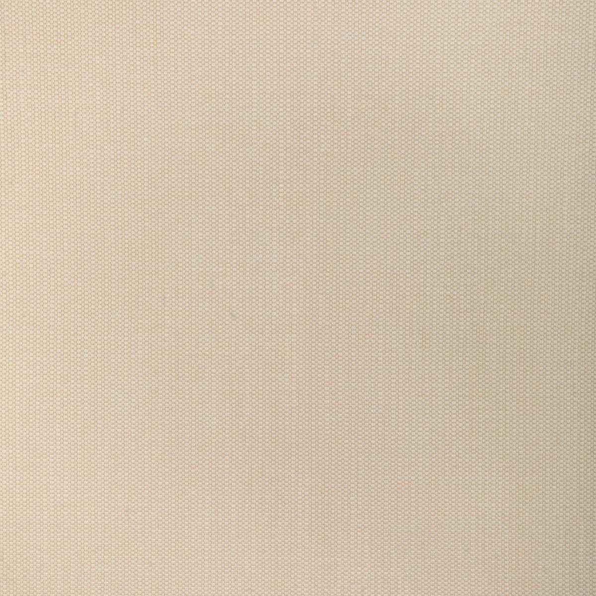 Kravet Smart 37337 161 Fabric - KRAVET SMART Fabric