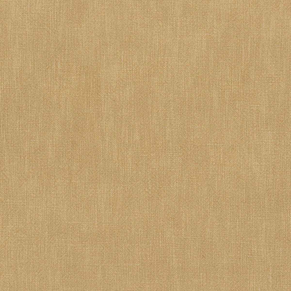 373601140 Vero Buff Fabric - KRAVET SMART Fabric