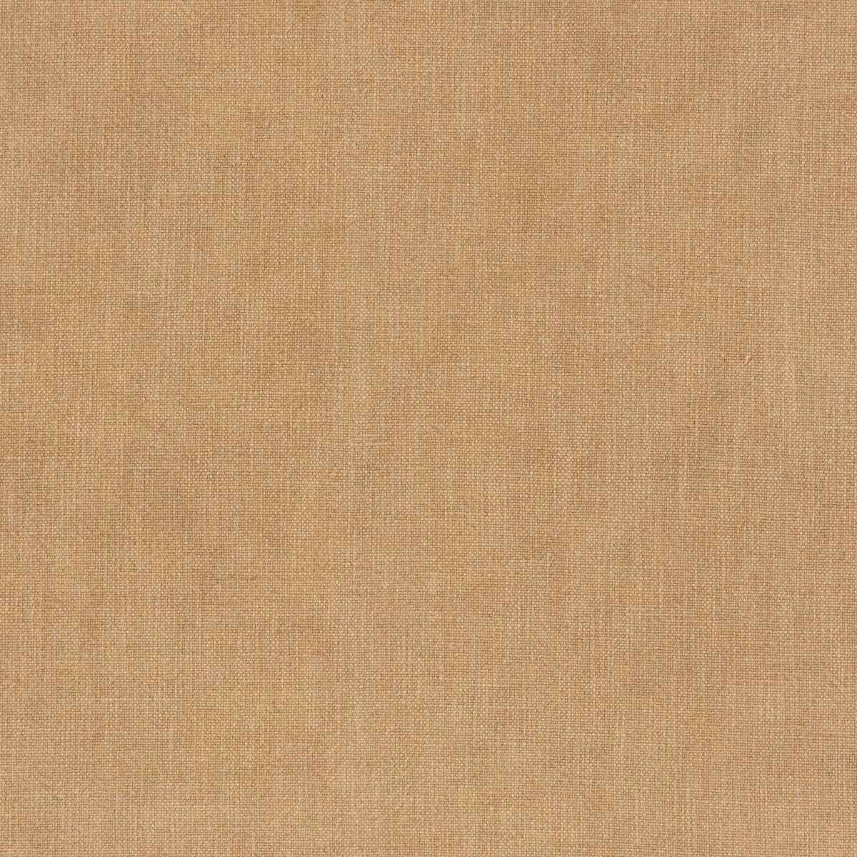 373601160 Vero Harvest Fabric - KRAVET SMART Fabric