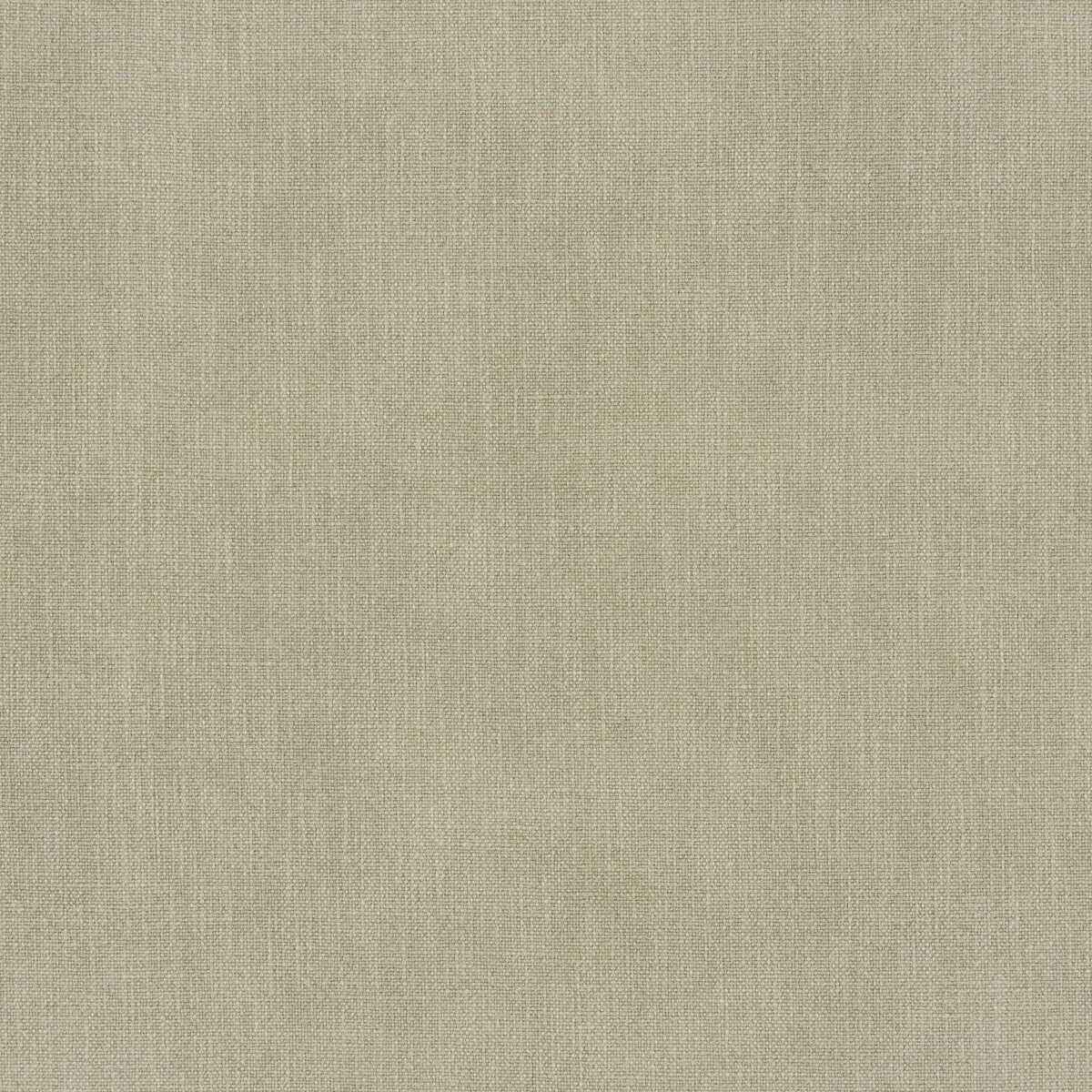 37360300 Vero Clove Fabric - KRAVET SMART Fabric