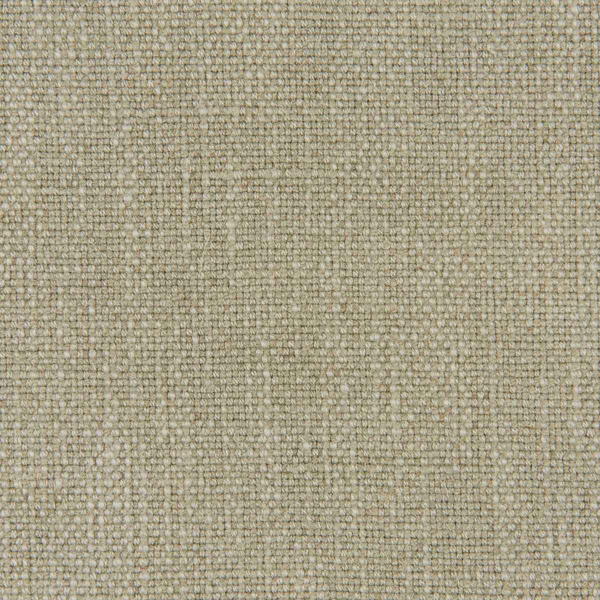 37360300 Vero Clove Fabric - KRAVET SMART Fabric