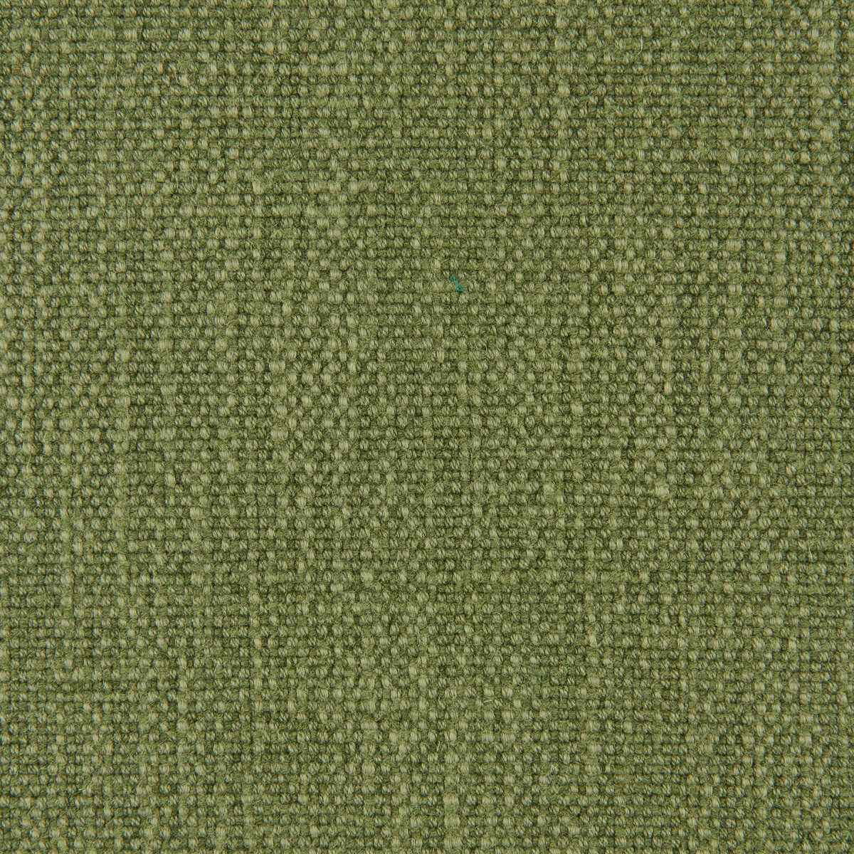 373603300 Vero Meadow Fabric - KRAVET SMART Fabric