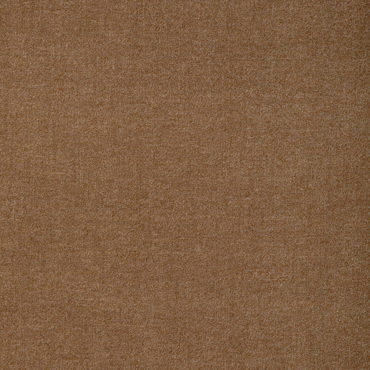 Kravet Design - 37491-4