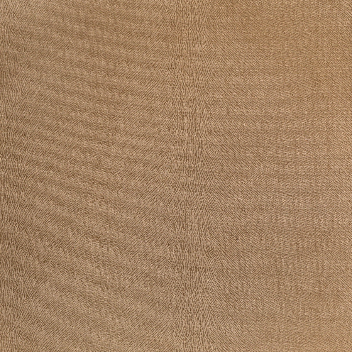 3767-overton-wheat-pindler