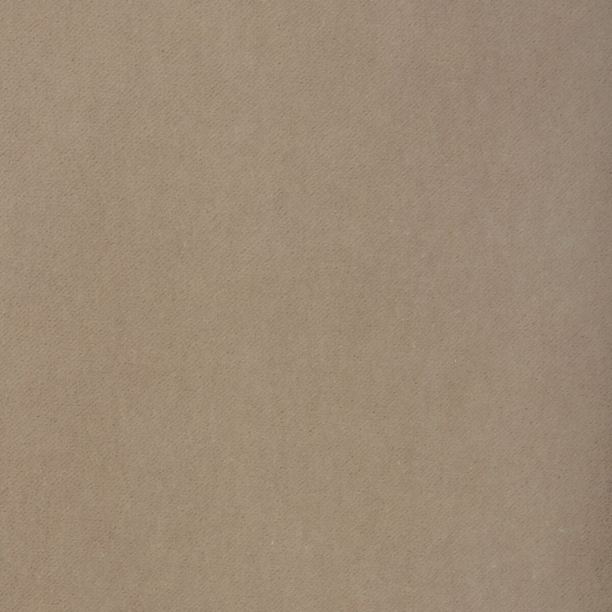 Tempo - Oyster - Kravet Contract Fabric