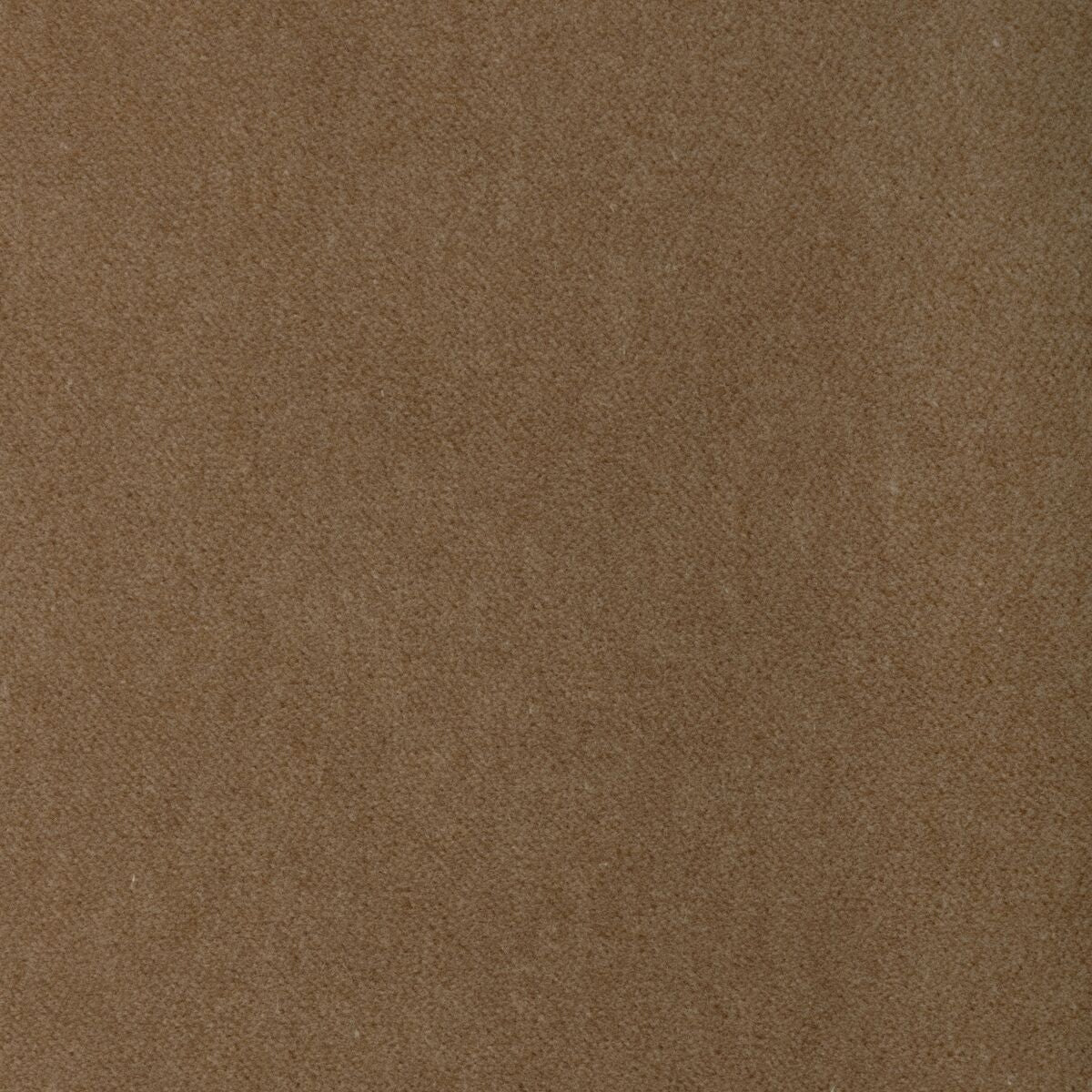 Tempo - Brulee - Kravet Contract Fabric