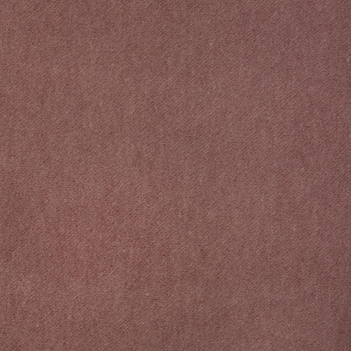 Tempo - Rose Quartz - Kravet Contract Fabric