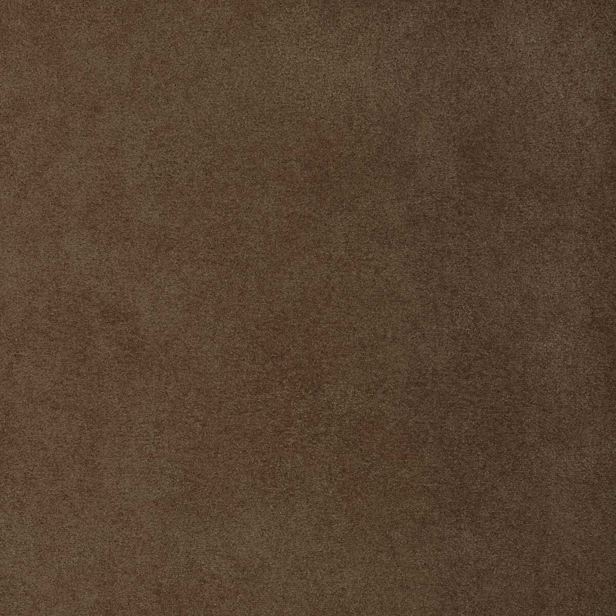 Kravet Design - 37721-116 - KRAVET DESIGN Fabric