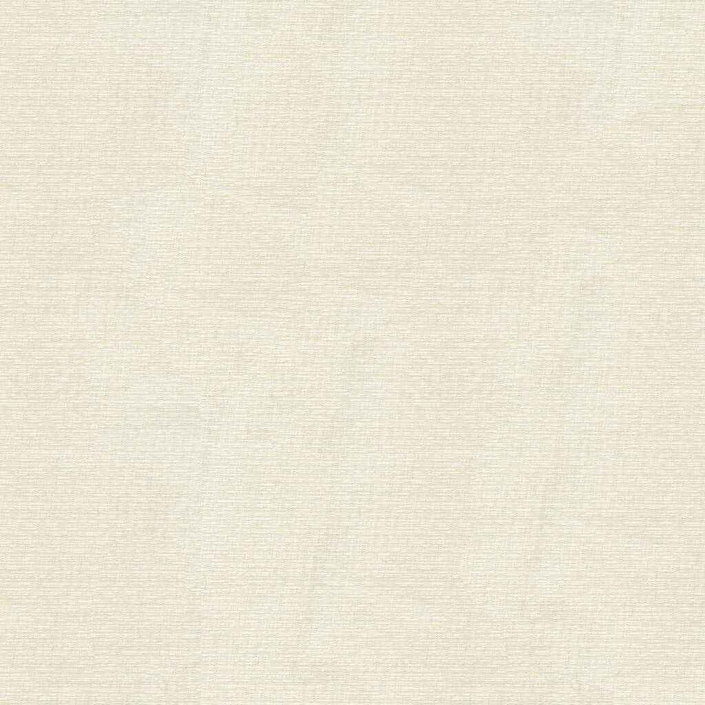 41131010 Kravet Basics 4113 101 Kravet Basics Fabric - KRAVET BASICS Fabric
