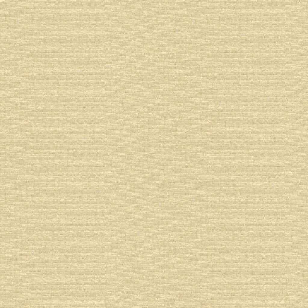 4113160 Kravet Basics 4113 16 Kravet Basics Fabric - KRAVET BASICS Fabric