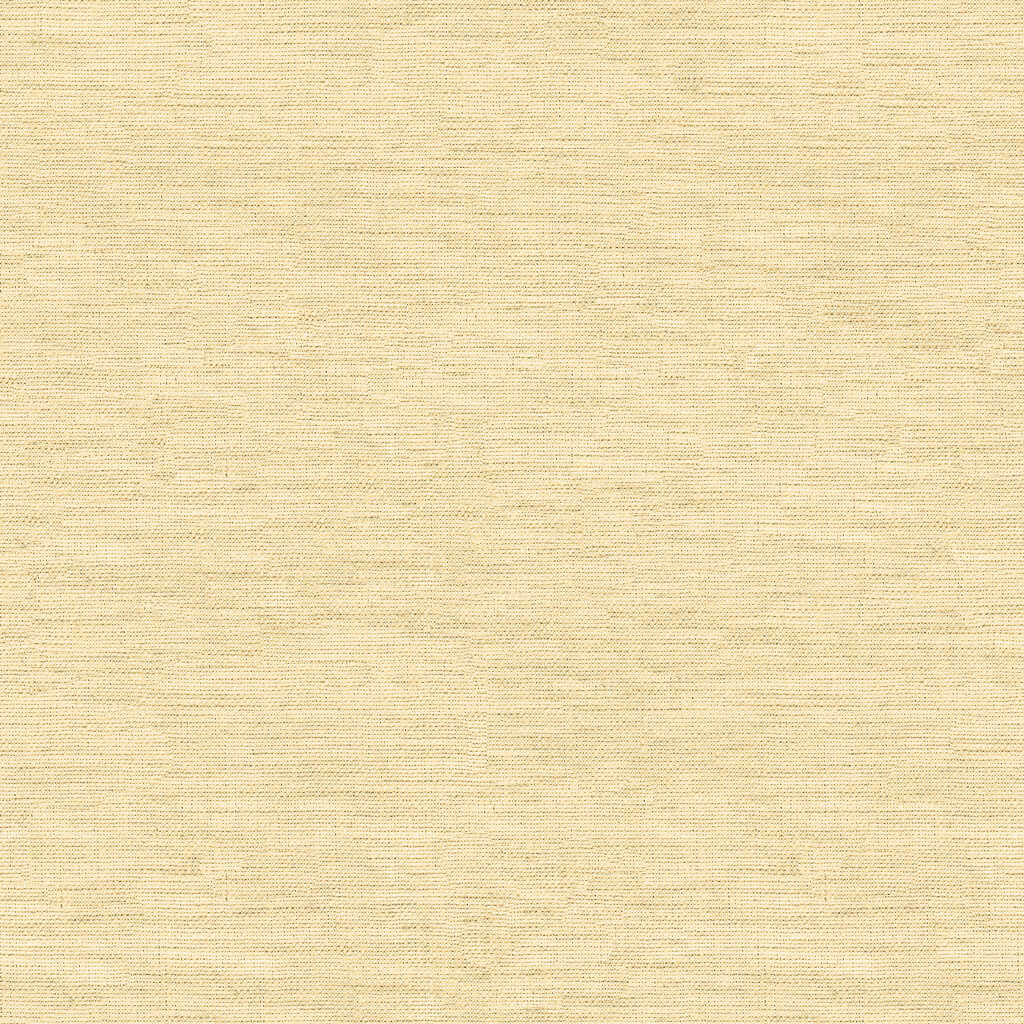 Kravet Design - 4205-416