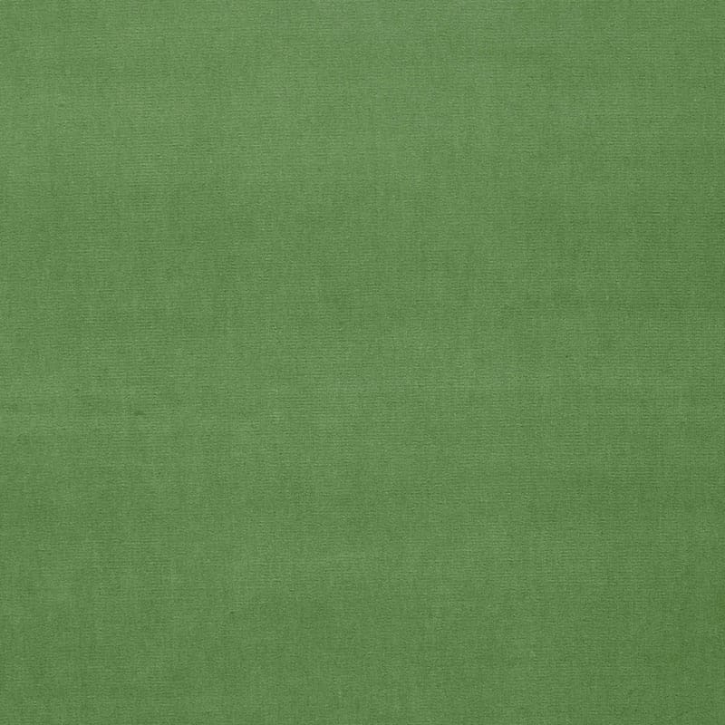 GAINSBOROUGH-VELVET-PARROT-SCHUMACHER-42876 - Schumacher Fabric