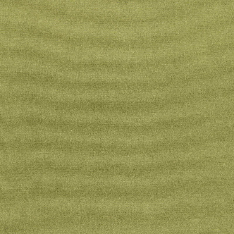 GAINSBOROUGH-VELVET-PALM-SCHUMACHER-43258