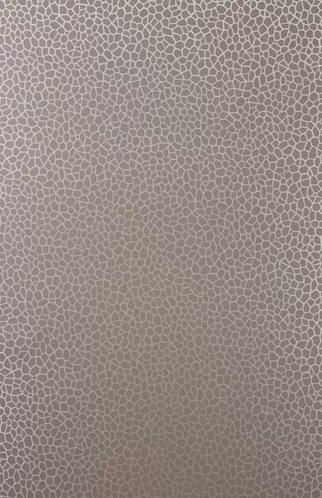 samana-kairi-taupemetallic-gilver-matthew-williamson-w6651-06