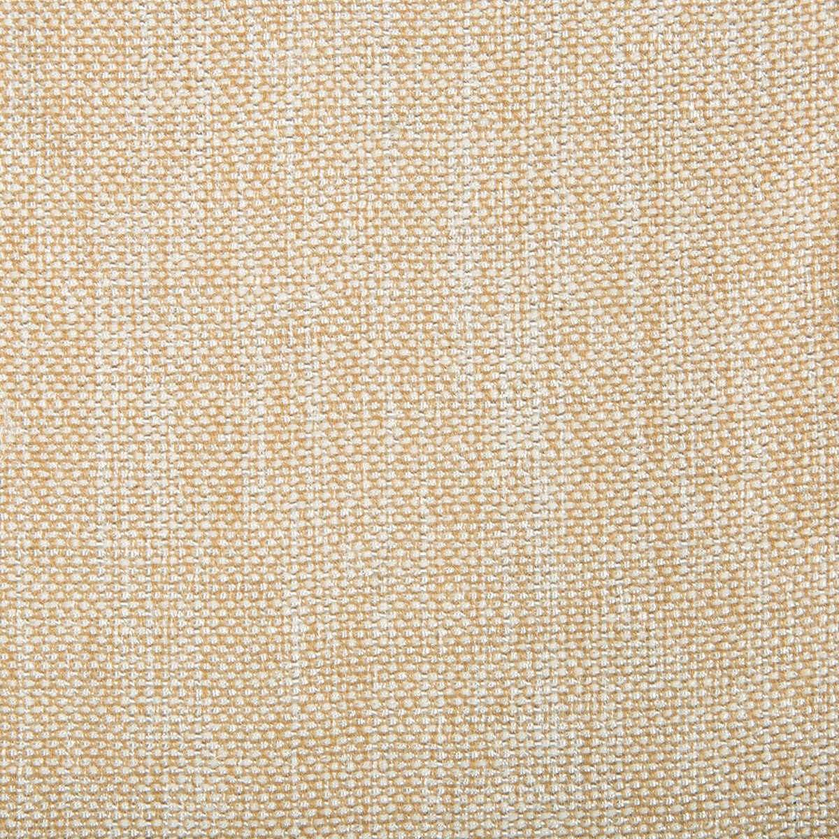 Kravet Contract - 4458-1601 - KRAVET CONTRACT Tela