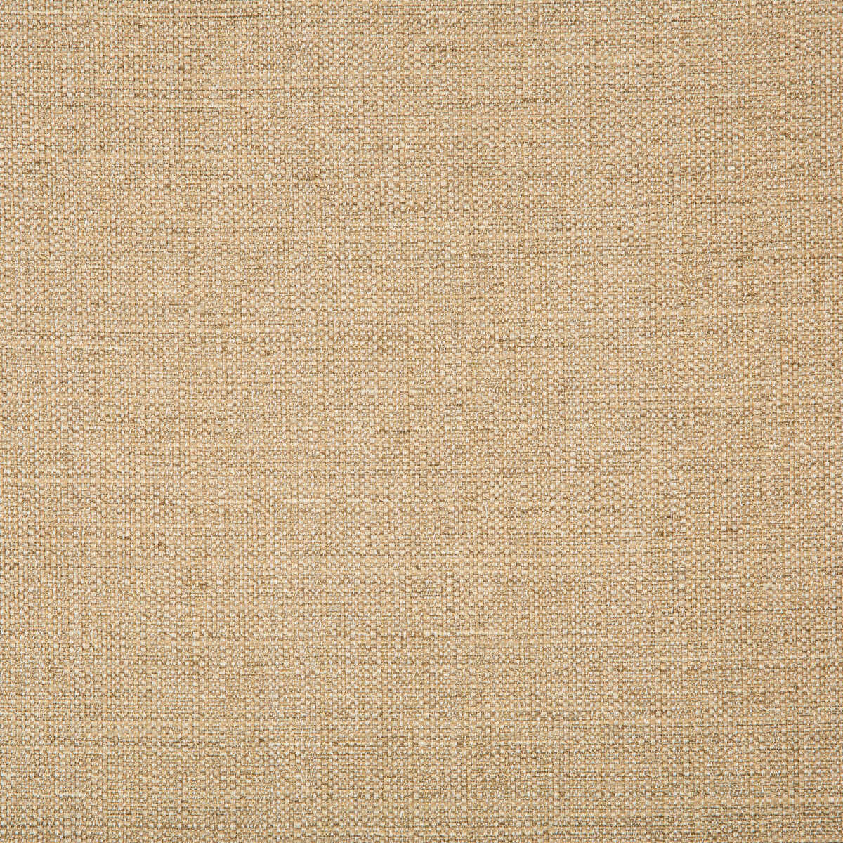 Kravet Basics - 4665-1616 - KRAVET BASICS Fabric