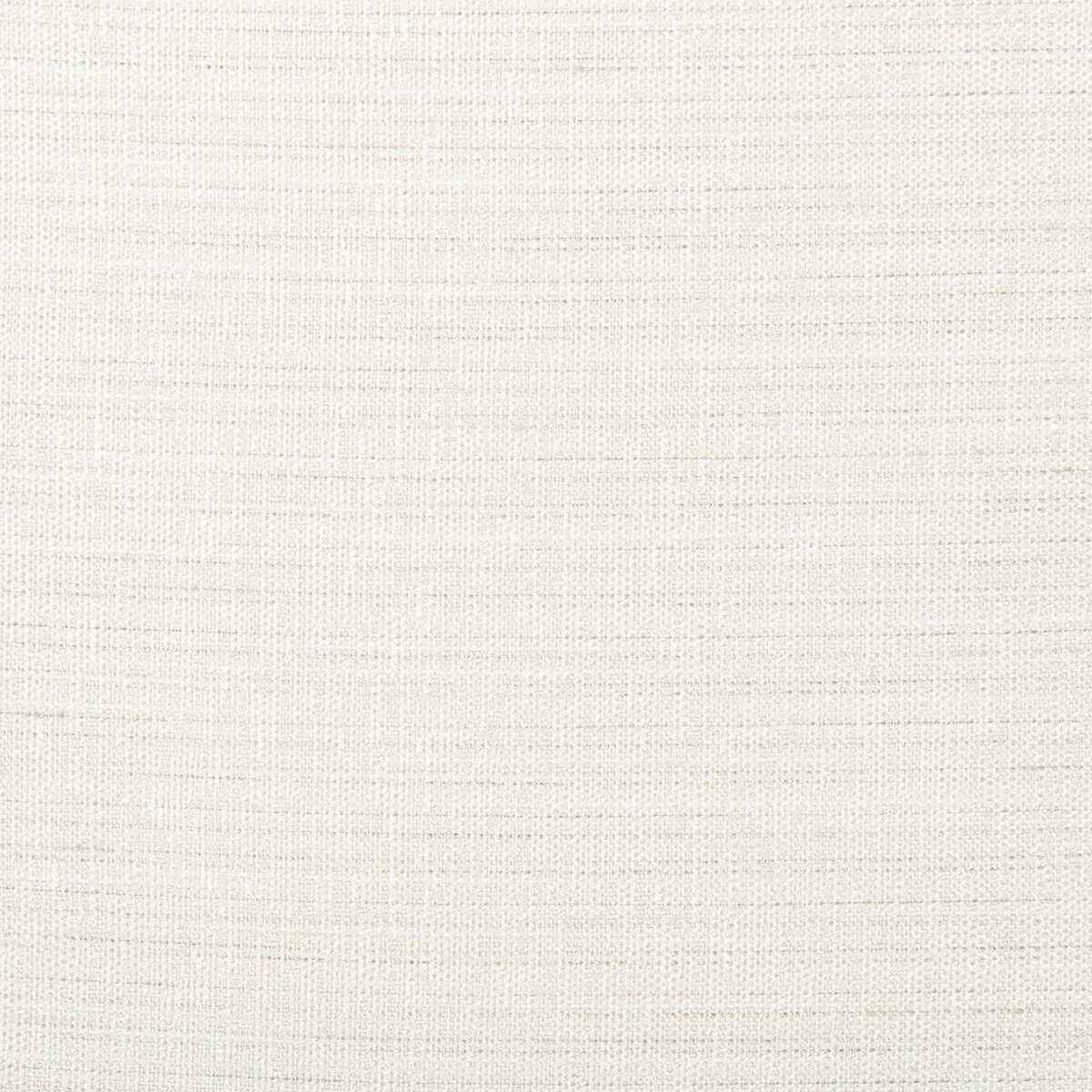 46731010 Kravet Basics 4673 101 Kravet Basics Fabric
