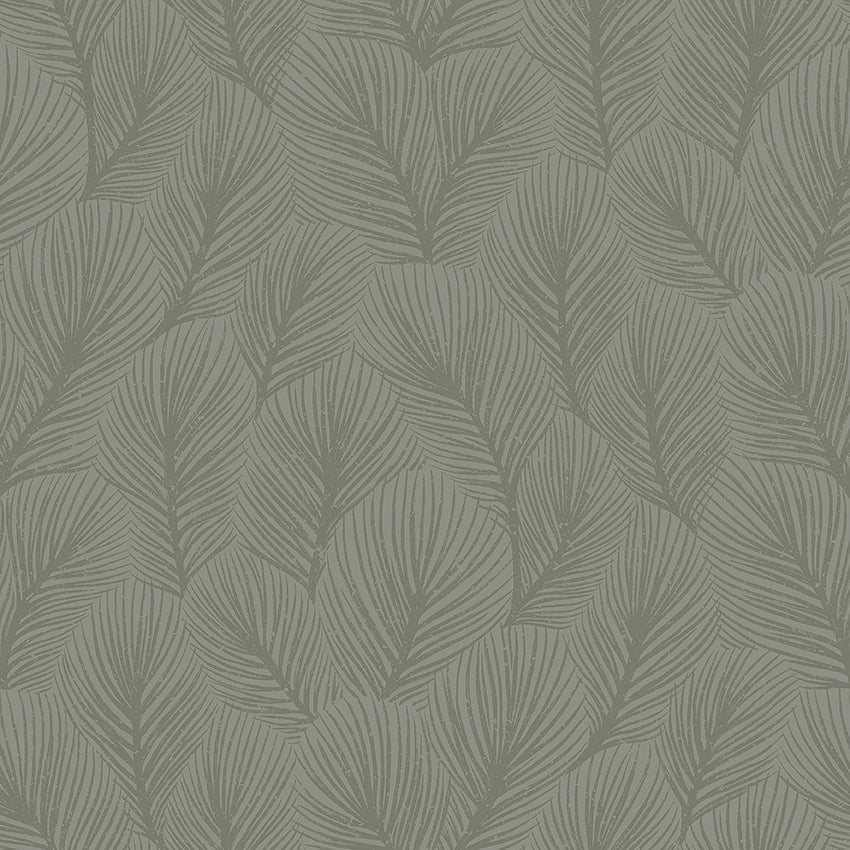 PINE-TREE-SAGE-SCHUMACHER-4704