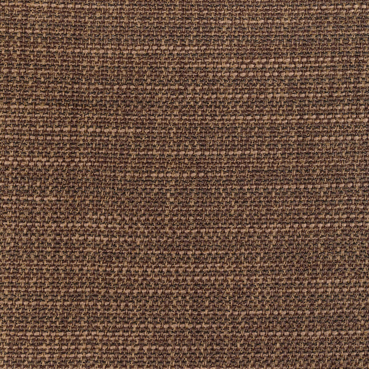 Luma Texture - Tortoise