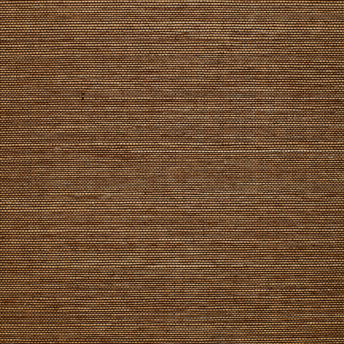 CELEBES-SISAL-CAMEL-SCHUMACHER-5000731