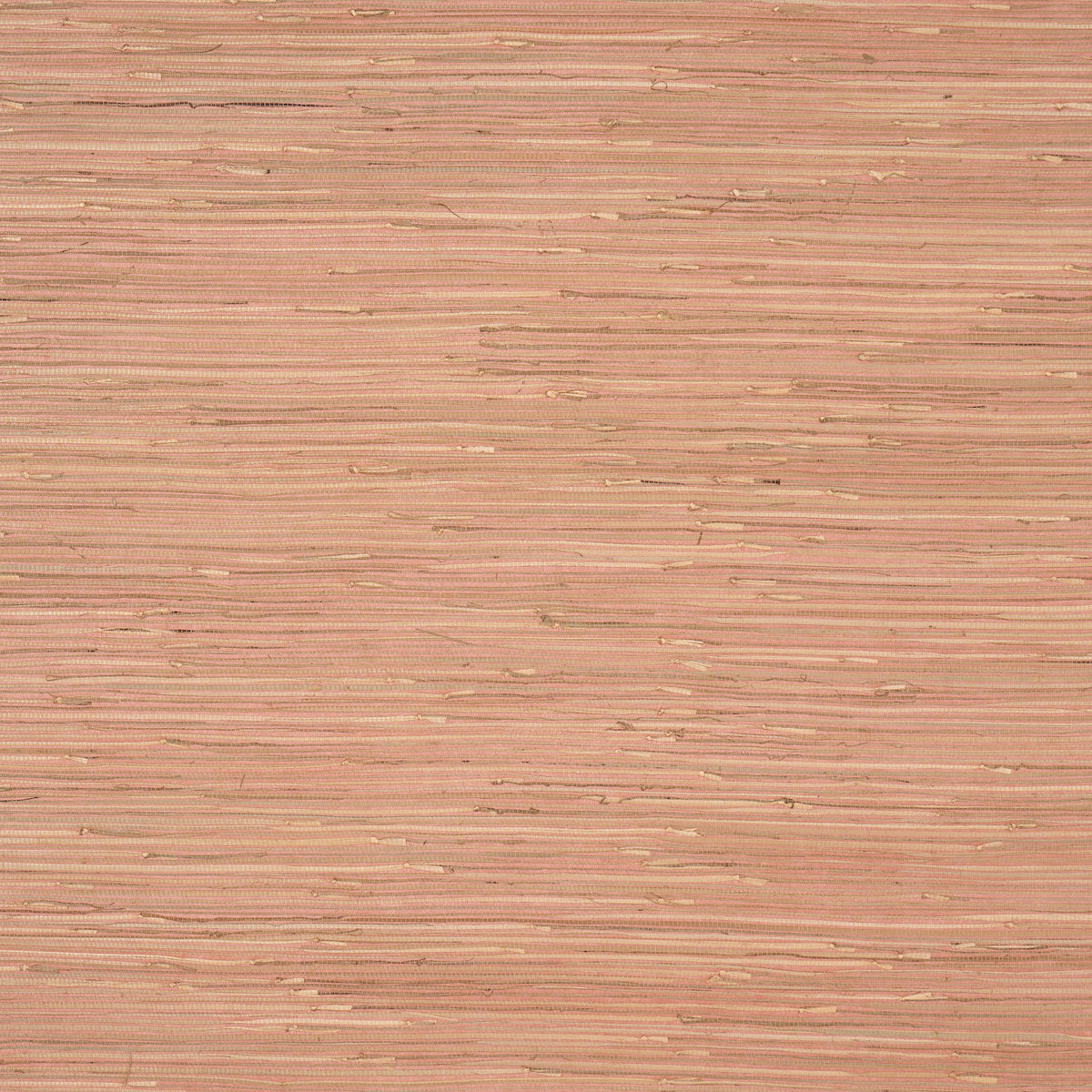 NAMI-RUSHCLOTH-WOODROSE-SCHUMACHER-5002861