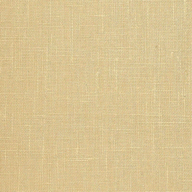 ADHAFERA-GROUND-STRAW-SCHUMACHER-5003581