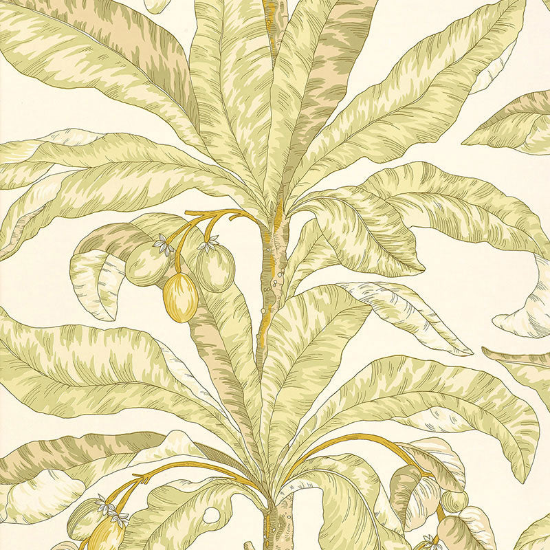 BLAIR-HOUSE-PALM-KIWI-SCHUMACHER-5004062