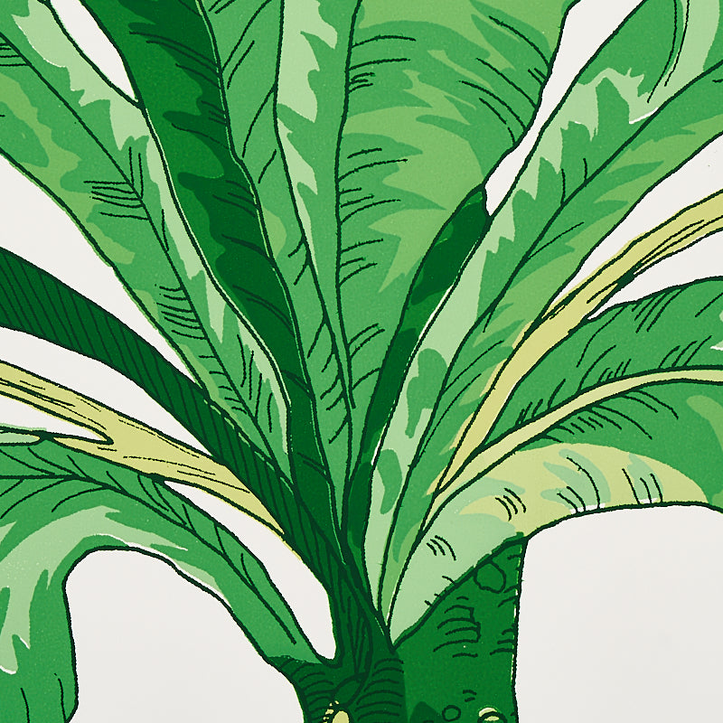 BLAIR-HOUSE-PALM-GREEN-SCHUMACHER-5004064