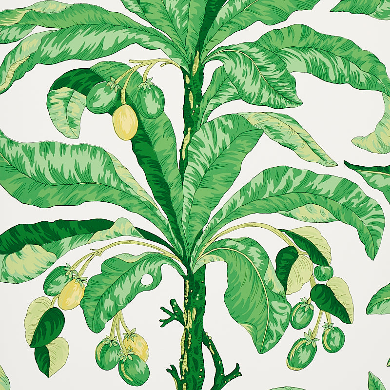 BLAIR-HOUSE-PALM-GREEN-SCHUMACHER-5004064
