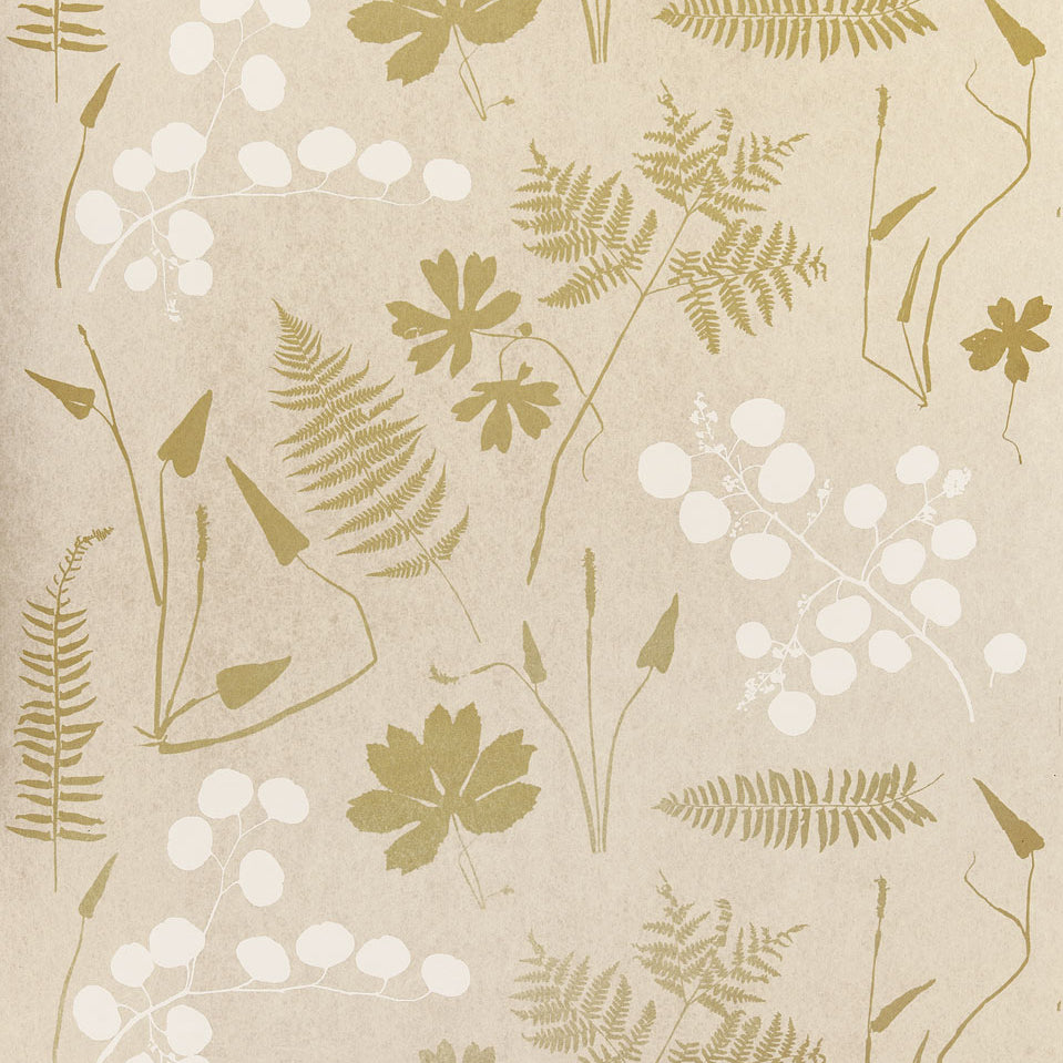 MODERN-BOTANICAL-PARCHMENT-SCHUMACHER-5005010