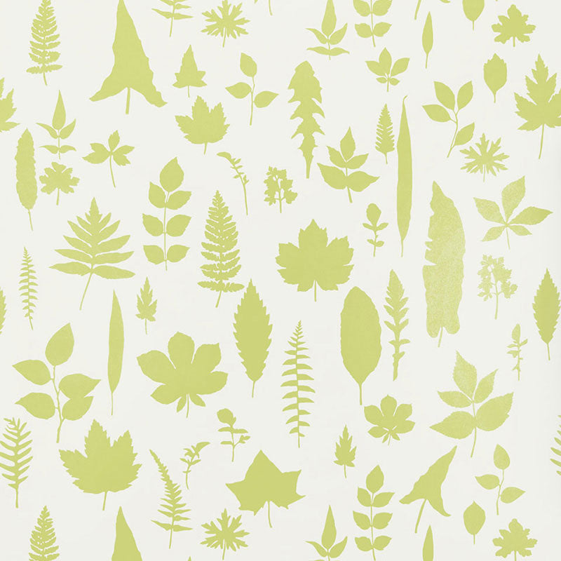 LEAVES-CHARTREUSE-SCHUMACHER-5005021