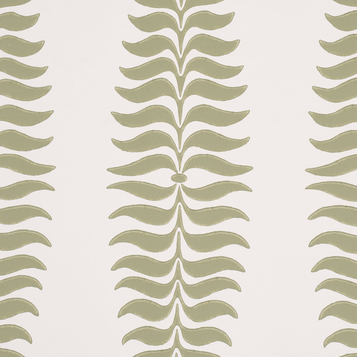 FERN-TREE-SAGE-SCHUMACHER-5005076