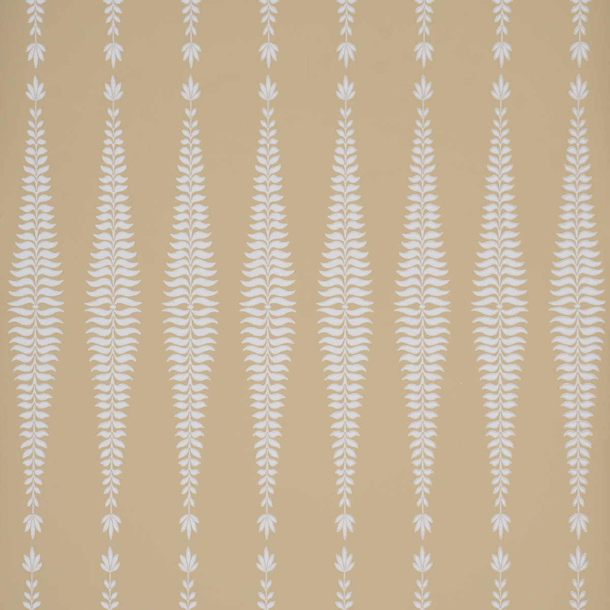 FERN-TREE-OCHRE-SCHUMACHER-5005078
