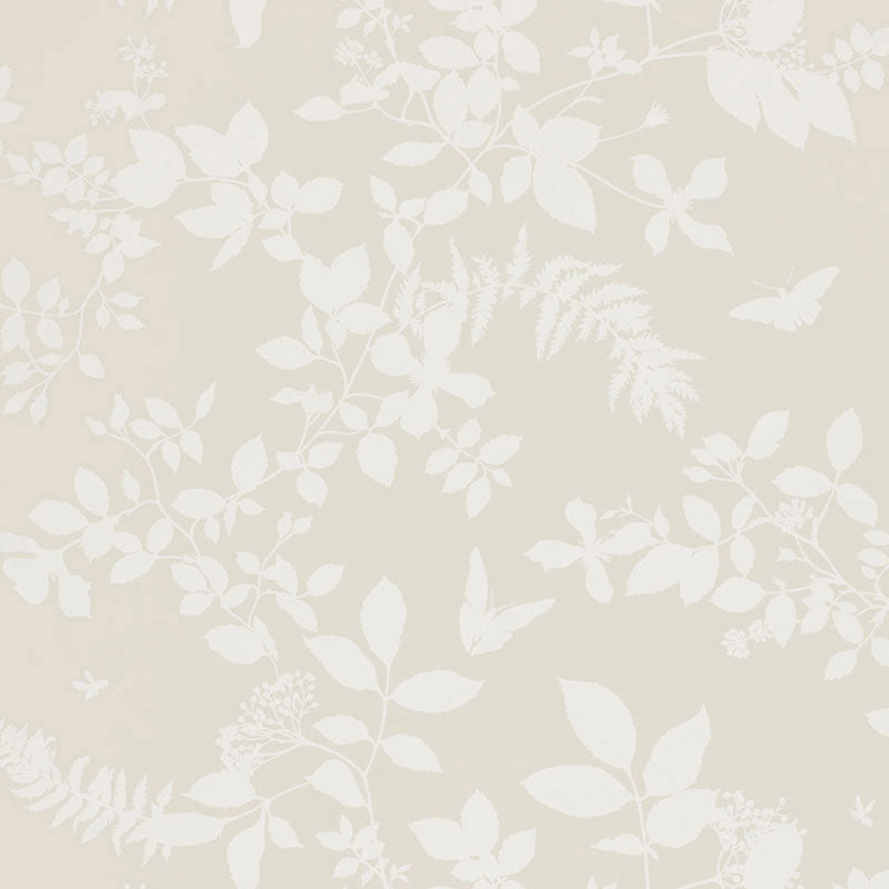 SHADOW-VINE-BONE-SCHUMACHER-5005100