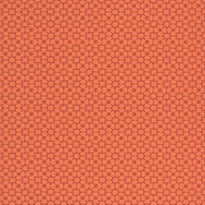 MEDINA-PERSIMMON-SCHUMACHER-5006014