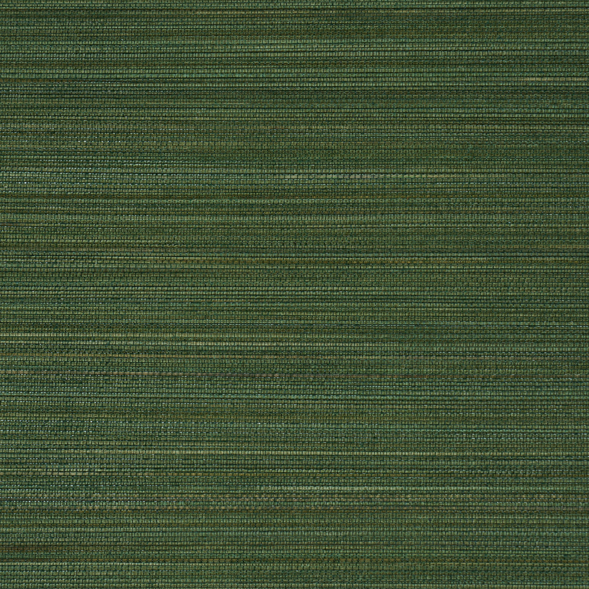 Zen Bamboo - Palm - Schumacher 5006405 Wallpaper - Schumacher Wallpaper