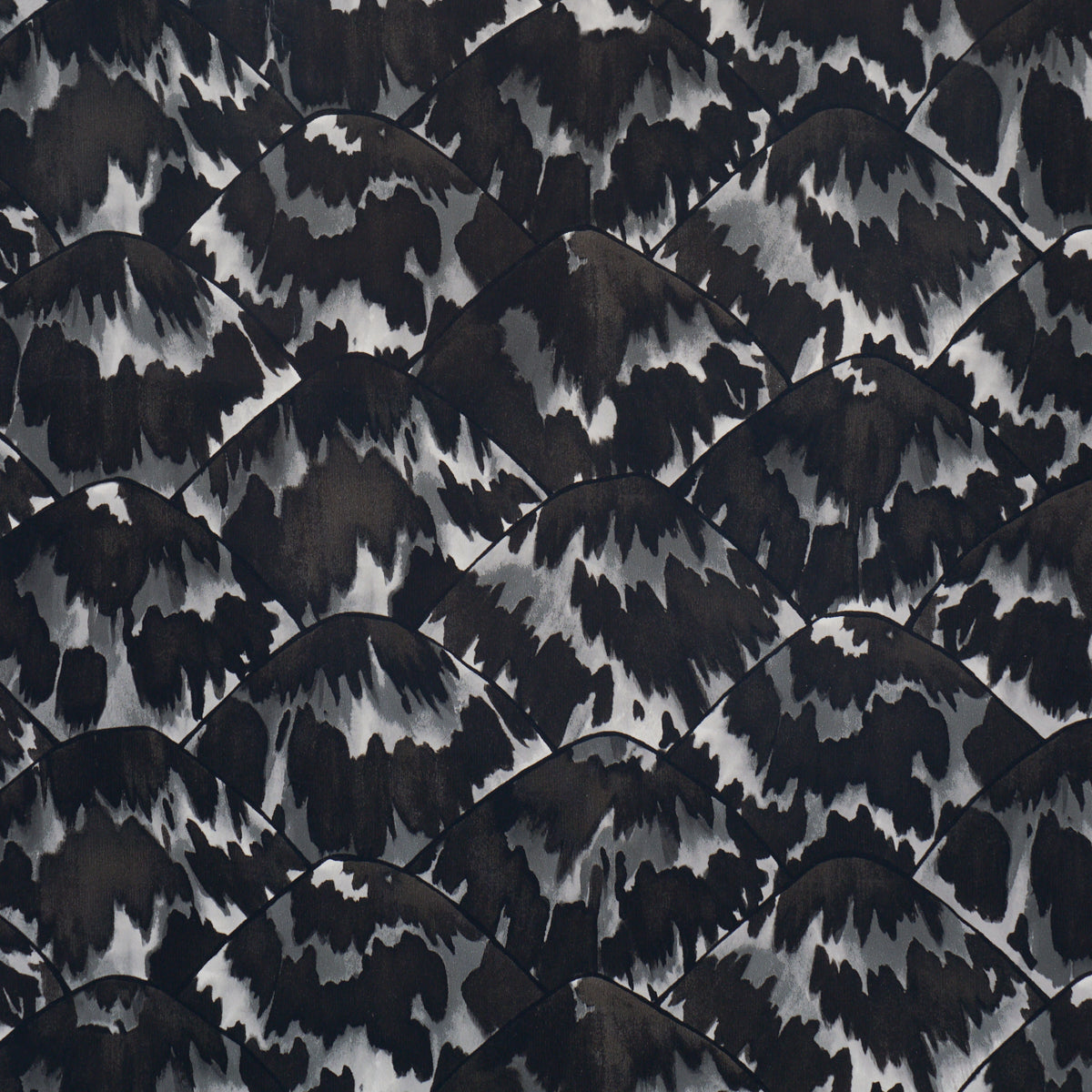 TORTOISE-BLACKOUT-SCHUMACHER-5007453