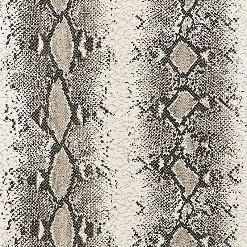 SNAKE-CHARMER-CINDER-SCHUMACHER-5008180