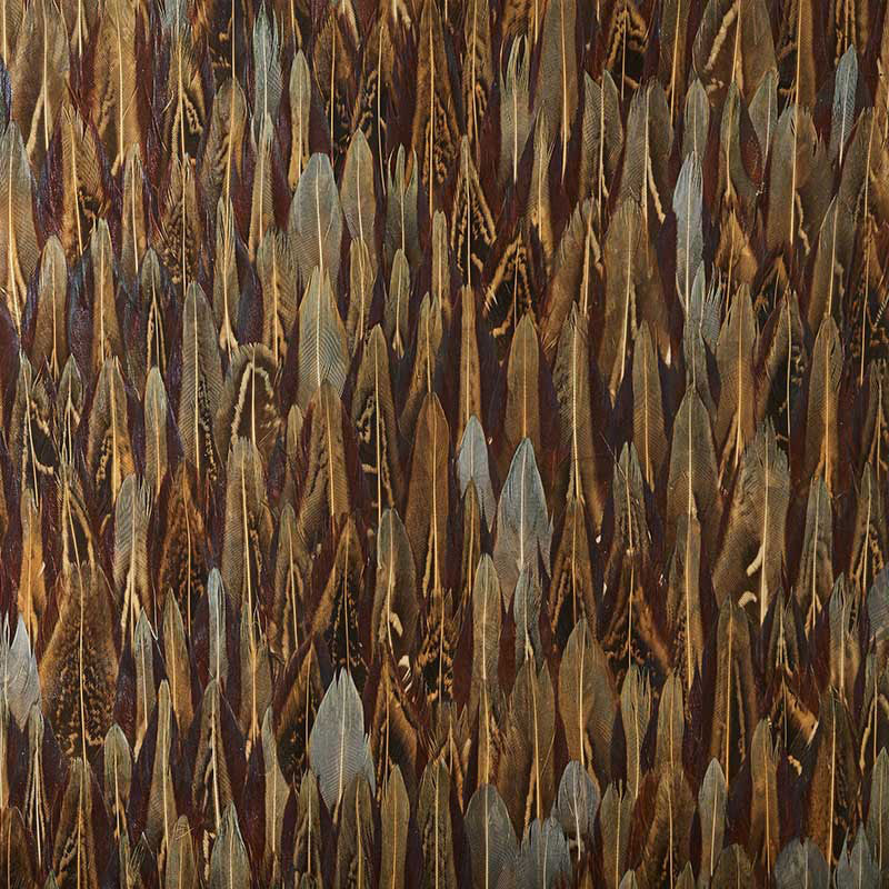 CEYLONITE-CELESTE-SCHUMACHER-5008405