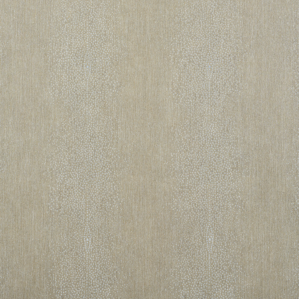 CARLISLE-ZINC-SCHUMACHER-5008480