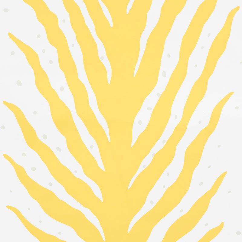 CREEPING-FERN-LEMONADE-SCHUMACHER-5009452